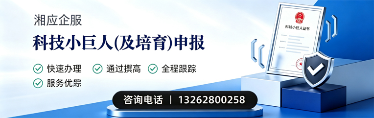 许昌科技小巨人及培育企业申报服务