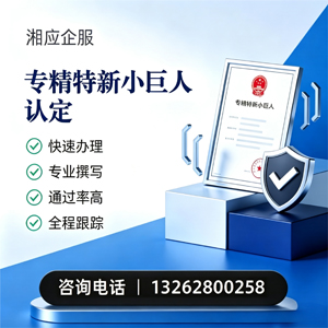 许昌专精特新小巨人申报服务