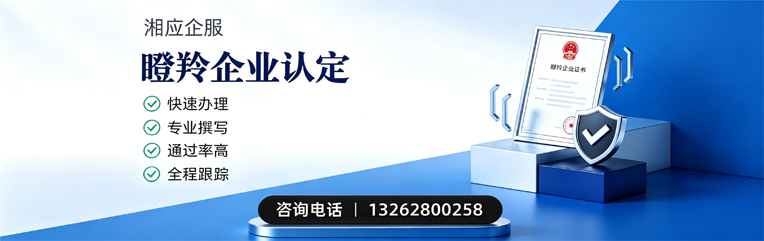 许昌瞪羚企业认定申报服务