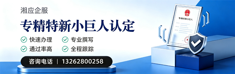 许昌专精特新小巨人申报服务